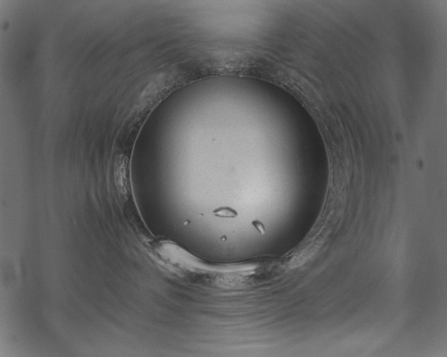 X0000070210336200605301408