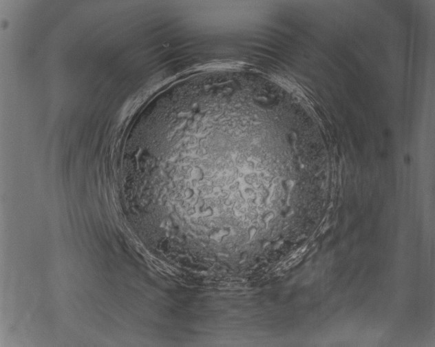 X0000070210337200605301408