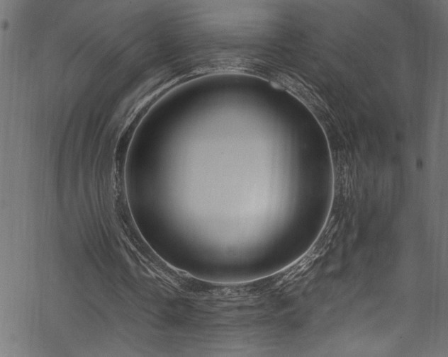 X0000070210338200605301408