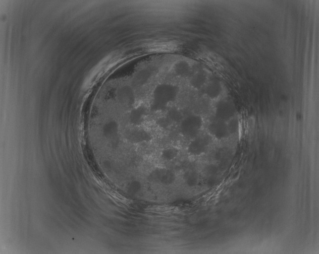 X0000070210339200605301408