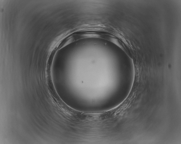 X0000070210340200605301408