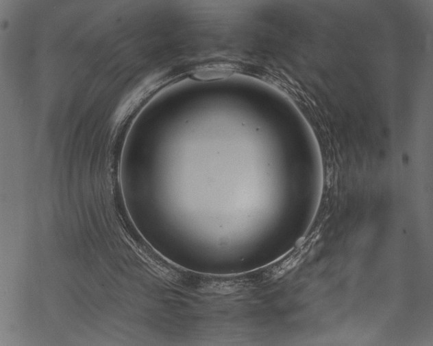 X0000070210341200605301408