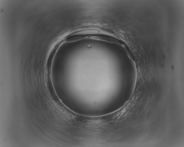 X0000070210342200605301408