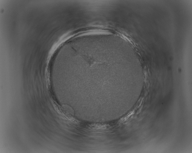 X0000070210343200605301408