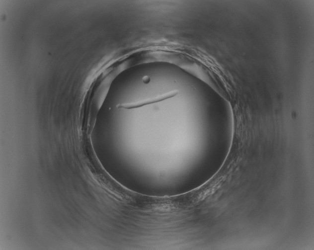 X0000070210344200605301408