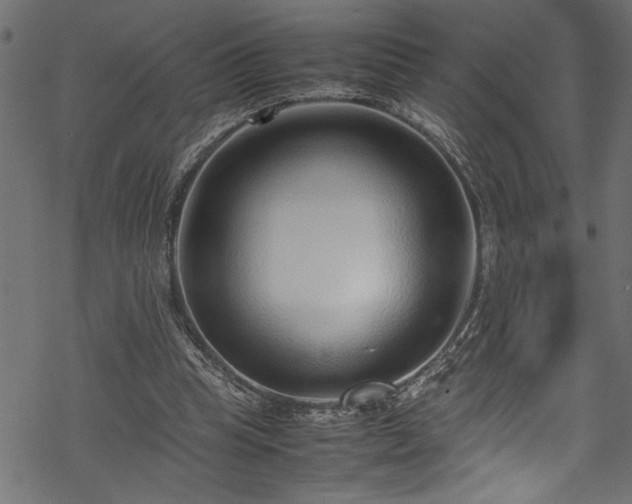 X0000070210345200605301408