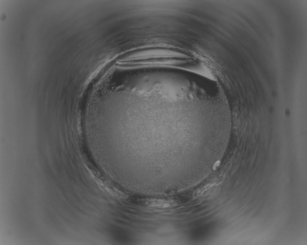 X0000070210347200605301408