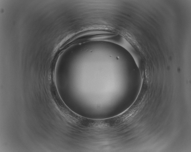 X0000070210348200605301408