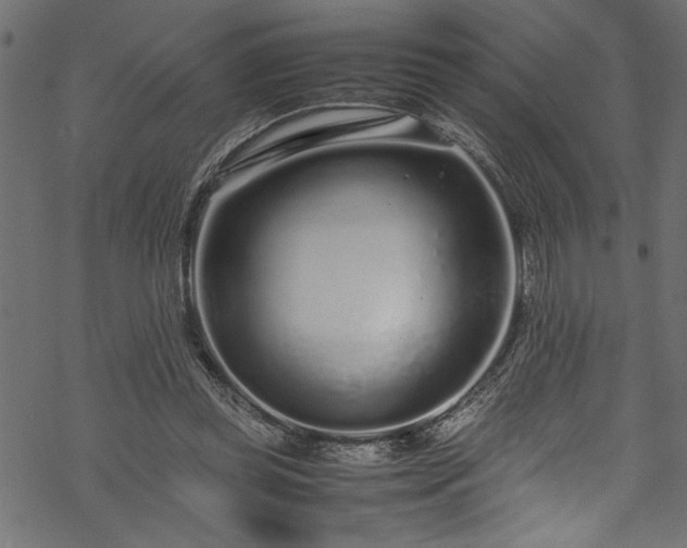 X0000070210349200605301408