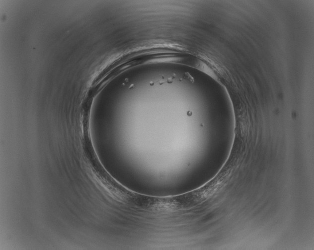 X0000070210350200605301408