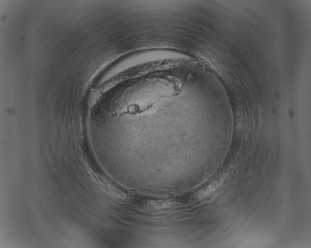 X0000070210351200605301408