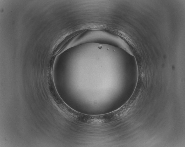 X0000070210352200605301408