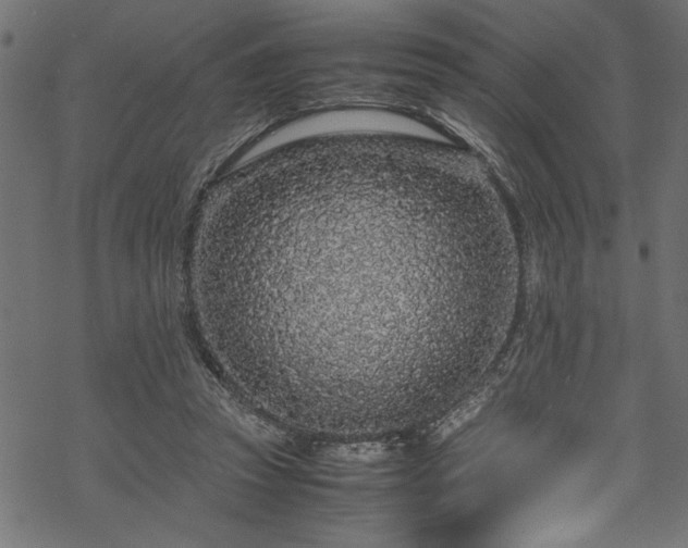 X0000070210353200605301408