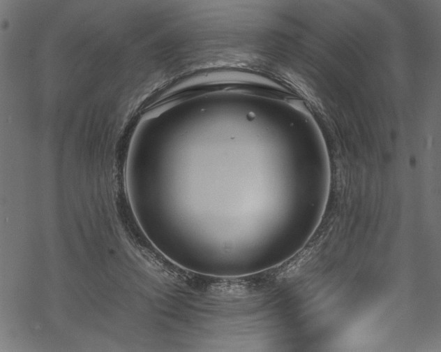 X0000070210354200605301408