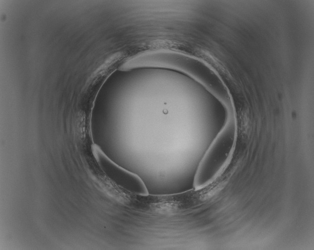 X0000070210356200605301408