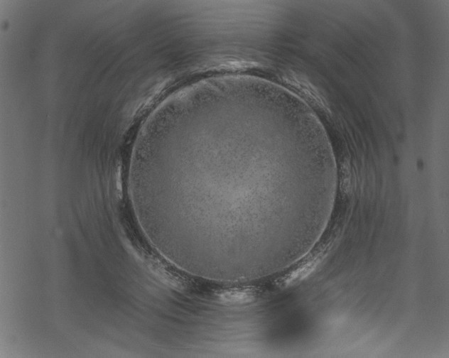 X0000070210358200605301408