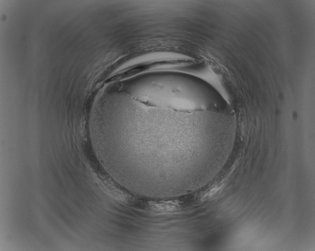 X0000070210359200605301408