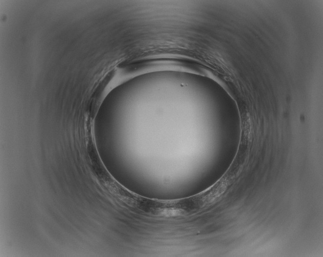 X0000070210360200605301408