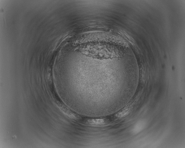 X0000070210361200605301408