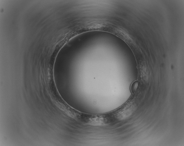 X0000070210362200605301408