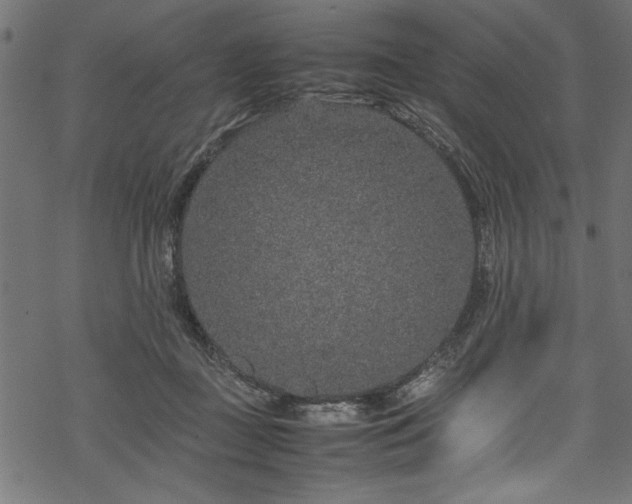 X0000070210363200605301408