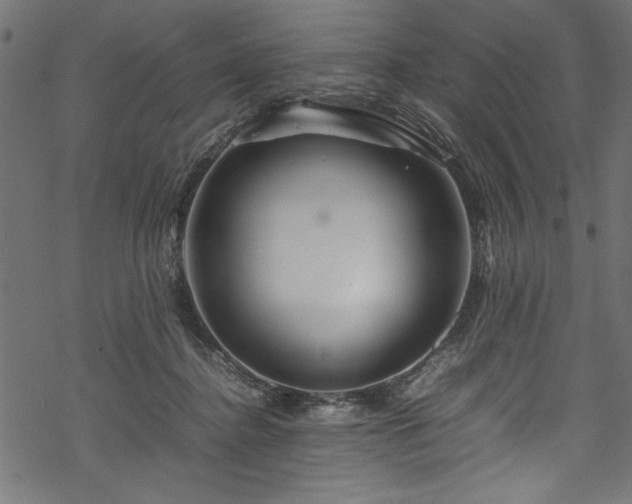 X0000070210364200605301408