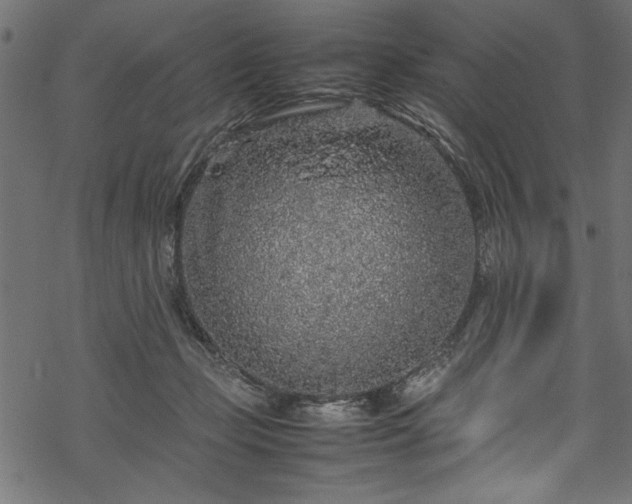 X0000070210365200605301408