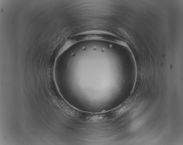 X0000070210366200605301408