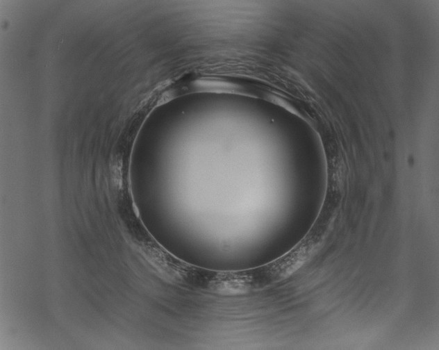 X0000070210368200605301408