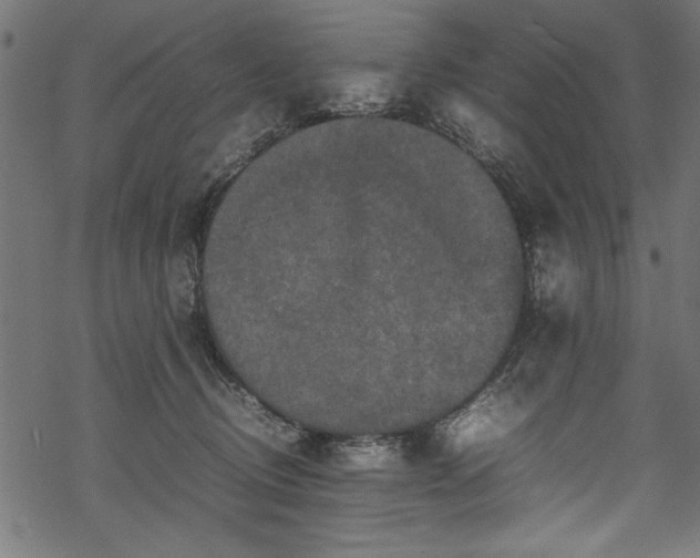 X0000070210370200605301408