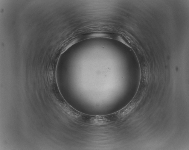 X0000070210372200605301408