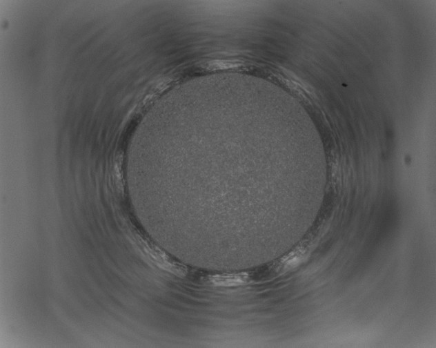 X0000070210373200605301408