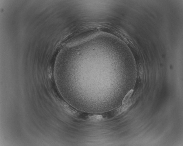 X0000070210374200605301408