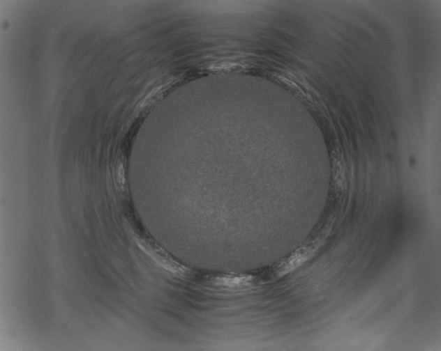 X0000070210375200605301408