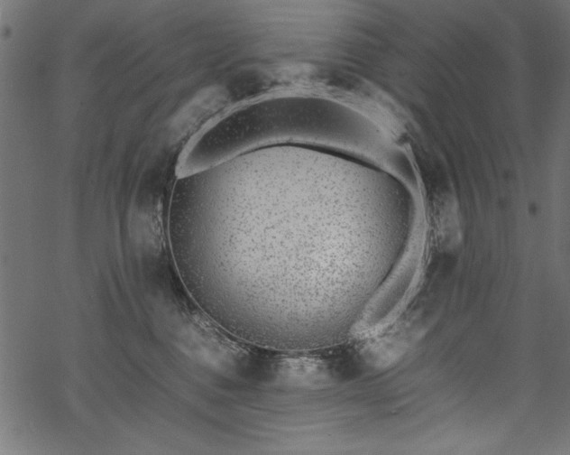 X0000070210376200605301408