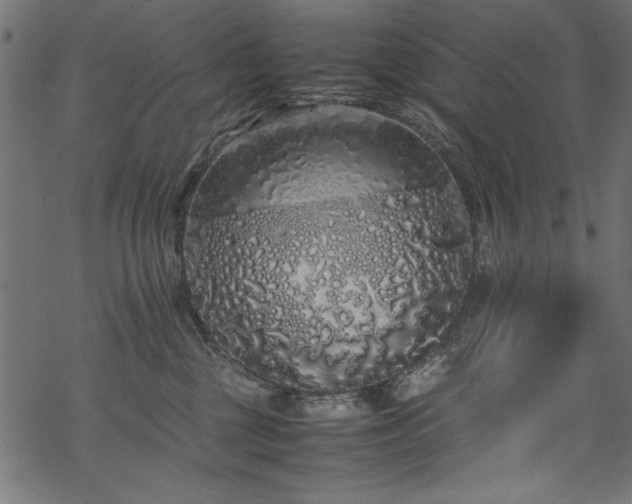 X0000070210377200605301408