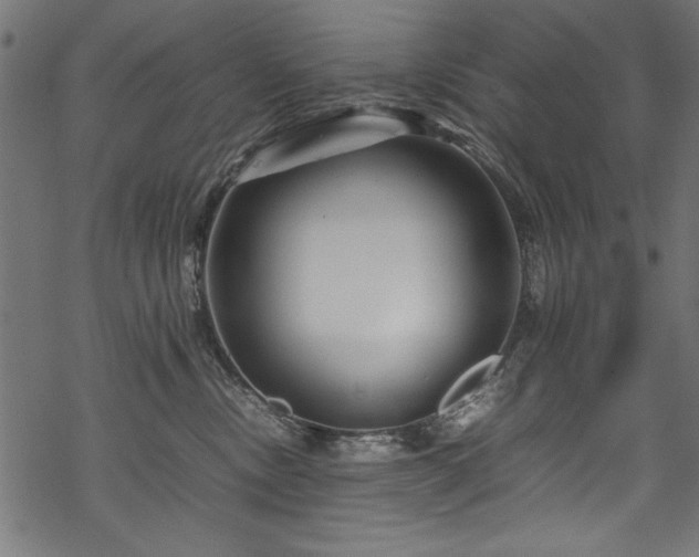 X0000070210378200605301408