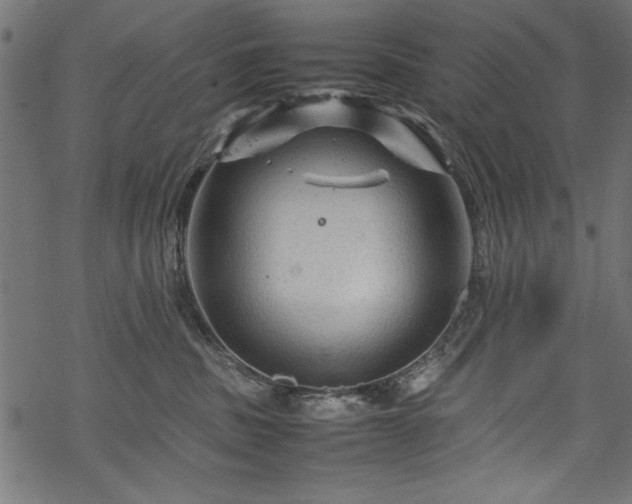 X0000070210379200605301408