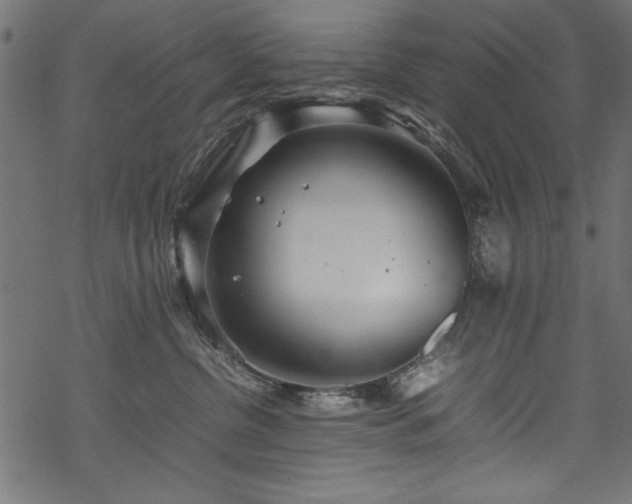 X0000070210380200605301408