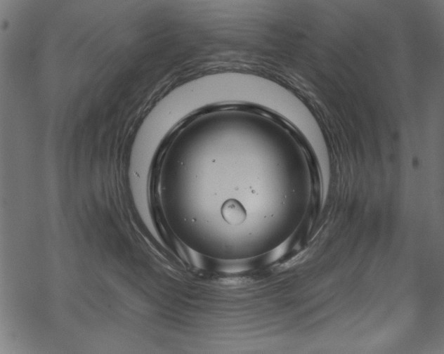 X0000070210382200605301408