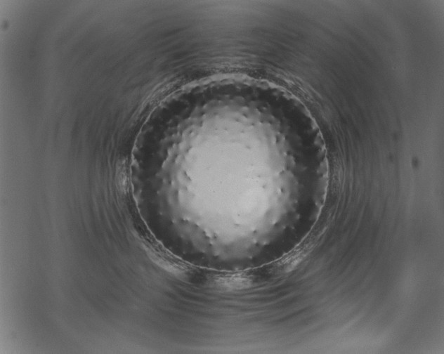 X0000070210383200605301408