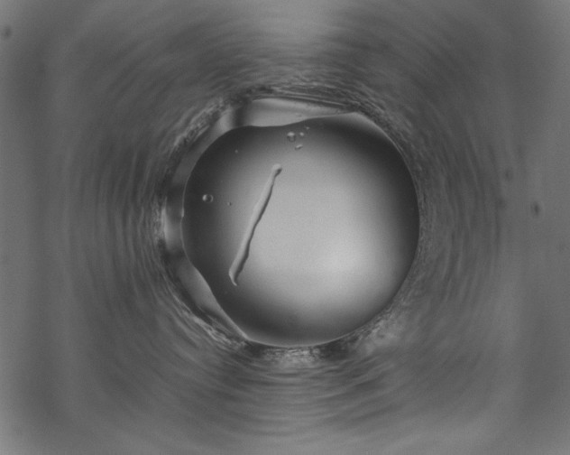 X0000070210384200605301408