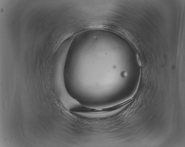 X0000070210385200605301408