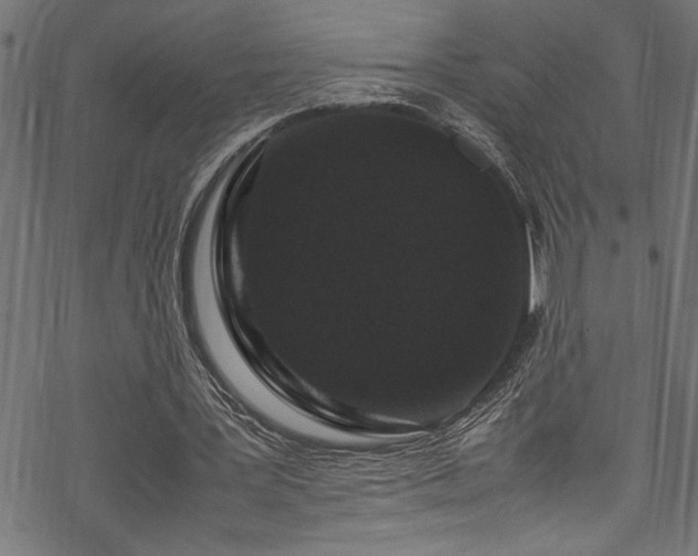 X0000070210387200605301408