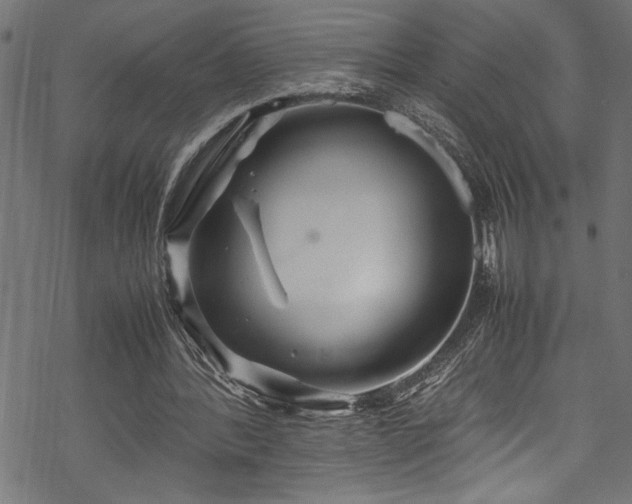 X0000070210388200605301408