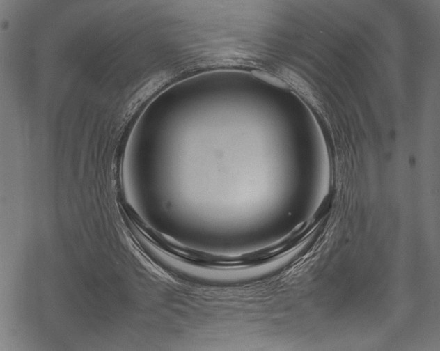 X0000070210389200605301408