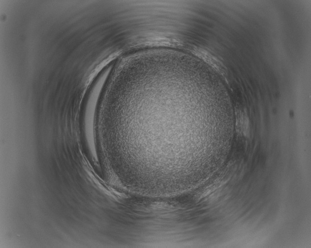 X0000070210390200605301408