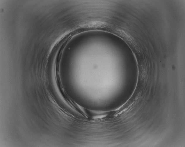 X0000070210392200605301408