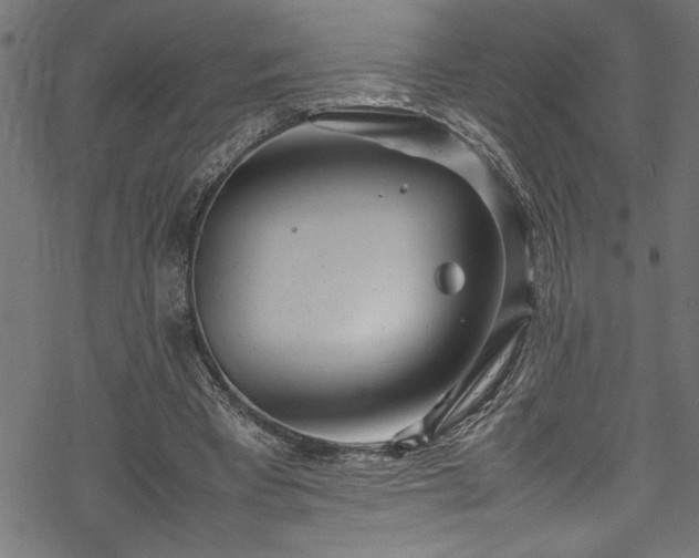 X0000070210393200605301408