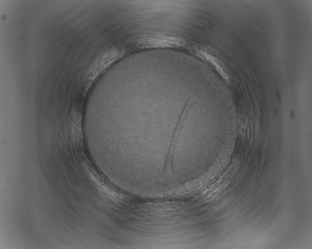 X0000070210394200605301407